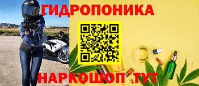 СК Рыбинск